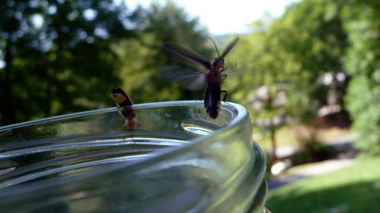 2672474905_cab2541aec_o